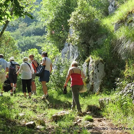 La Pace - Experience