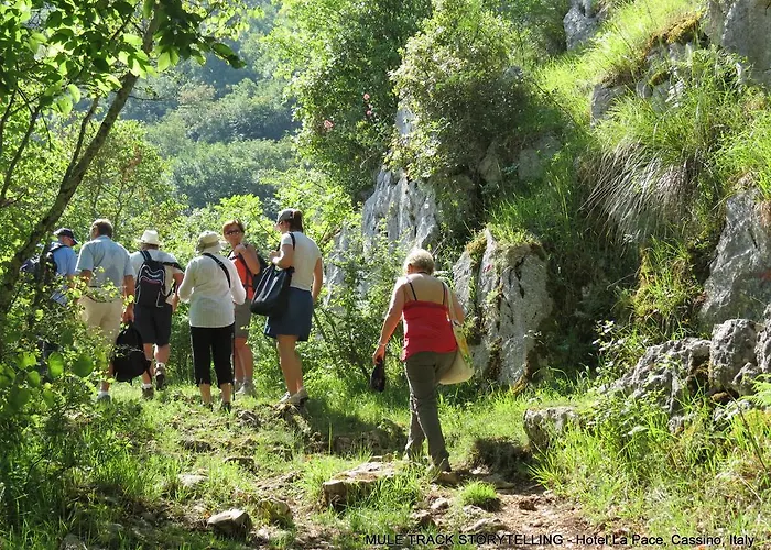 La Pace - Experience